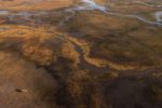 Aerial view of game drive on Busanga Plains