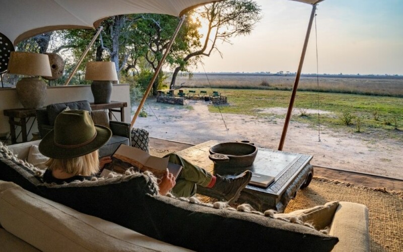 Sleeping Above the Busanga: Why Chisa Busanga Camp's Nests Are Unlike Anything Else in Africa