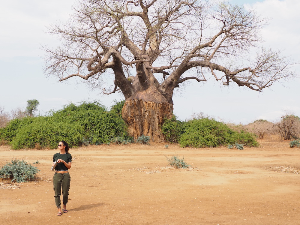 sausage tree safari camp