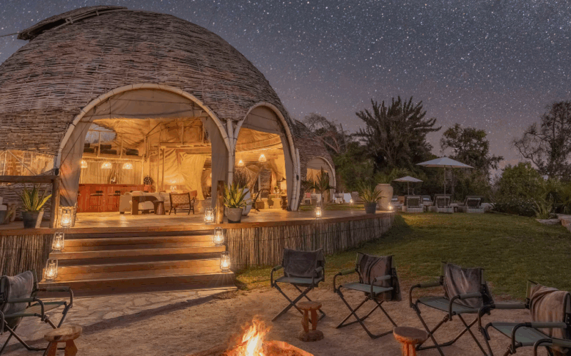 Zen in the Wild: Yoga, Stillness, and Safari in Perfect Balance