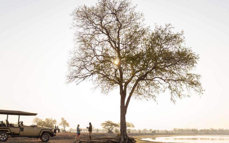 Why Zambia Is Africa’s Best-Kept Safari Secret (And Why Luxury Travellers Are Choosing It Over Botswana and Kenya)