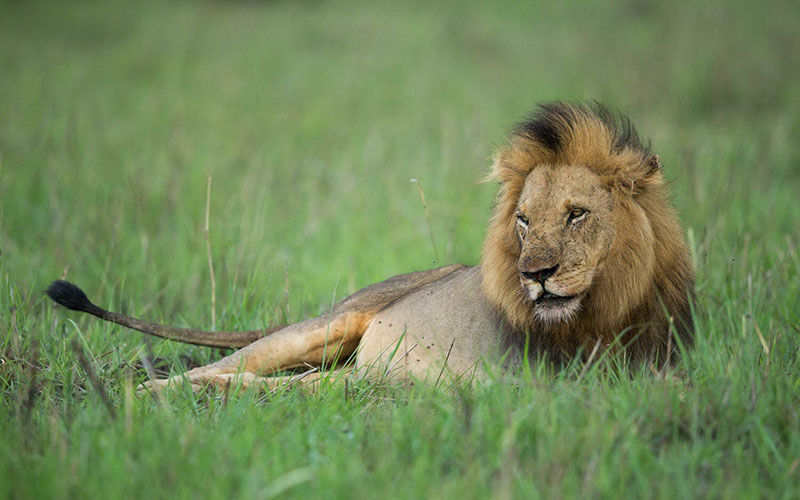 A Wide Range of Wilderness