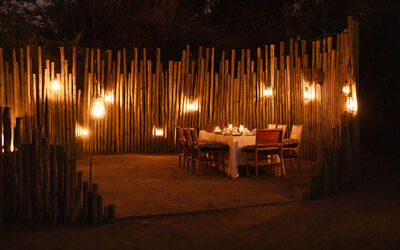 Dining | Chisa Busanga