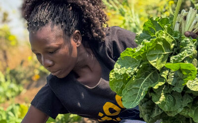 Ila Community Farm