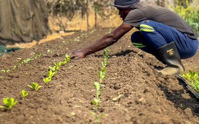 Ila Community Farm