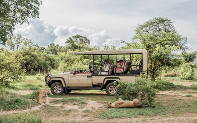Safari | Ila Activities
