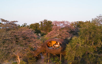 Green Safaris