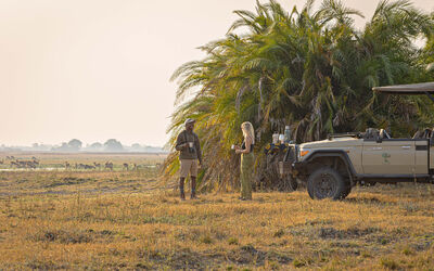 Game Drive | Chisa Busanga Activities