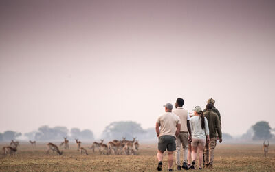 Walking Safari | Chisa Busanga Activities