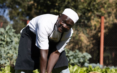 Garden | Tongabezi Lodge