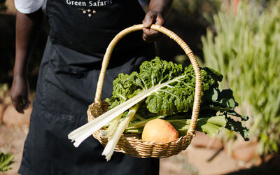 Garden | Tongabezi Lodge
