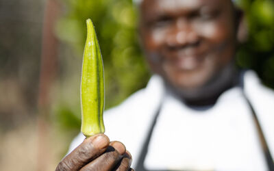 Garden | Tongabezi Lodge