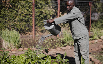 Garden | Tongabezi Lodge
