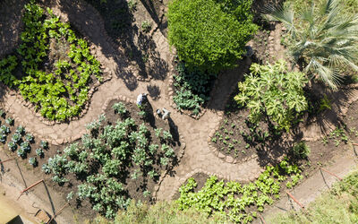 Garden | Tongabezi Lodge