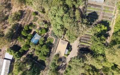 Garden | Tongabezi Lodge