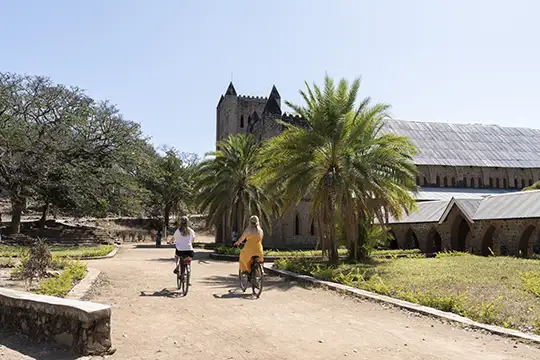 E-Mountain Bike Safari
