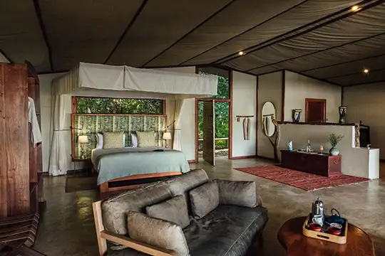 Safari tents