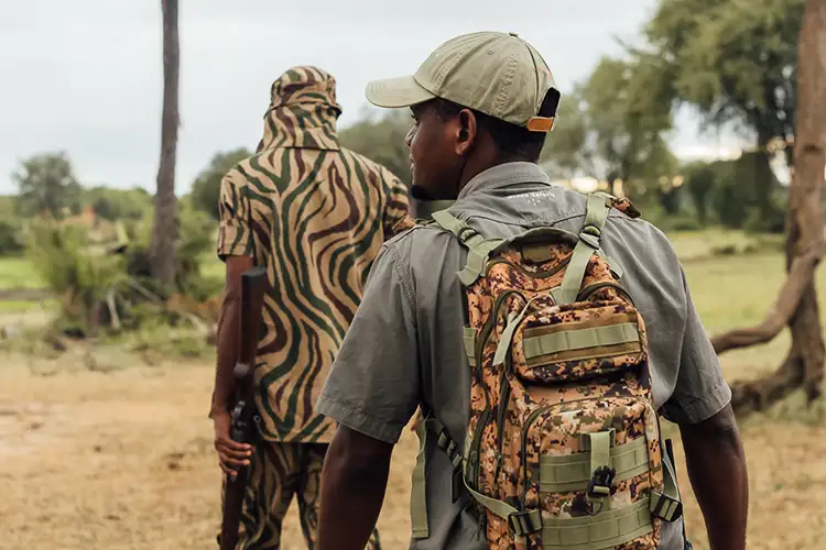 Guided Bush Walks