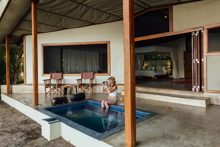 Plunge Pool