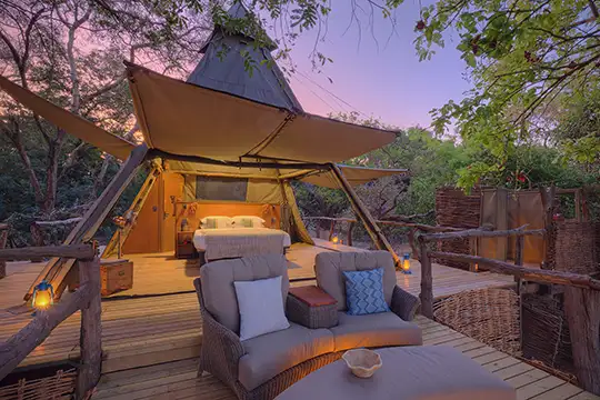 Shawa Luangwa Tent