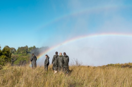 walking safaris