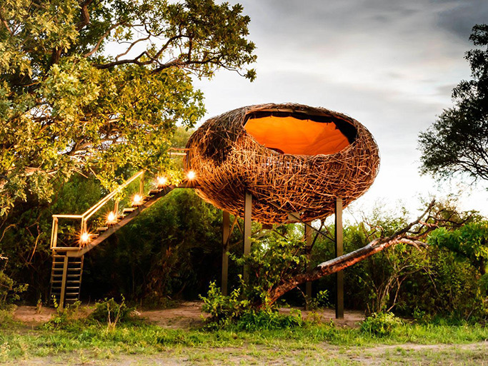 Pay 3 Stay 4 - Extended Safari Adventure