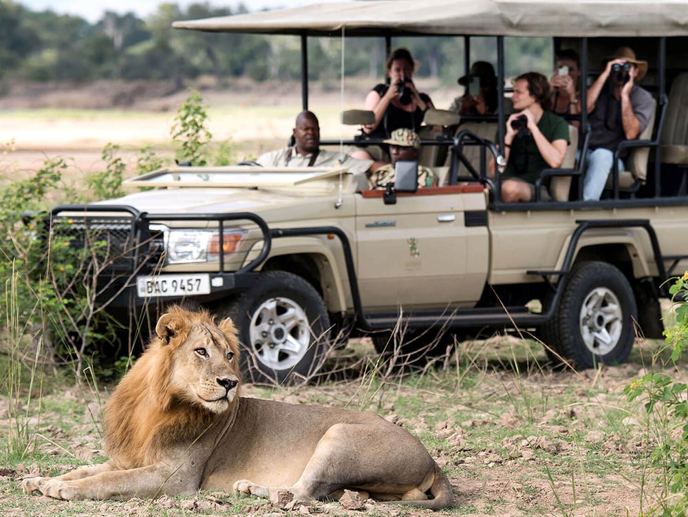 Stay 3, Pay 2 - Tongabezi Lodge