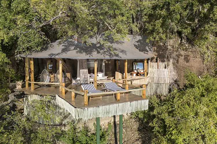 The Tree House