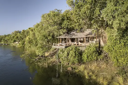 Tree House